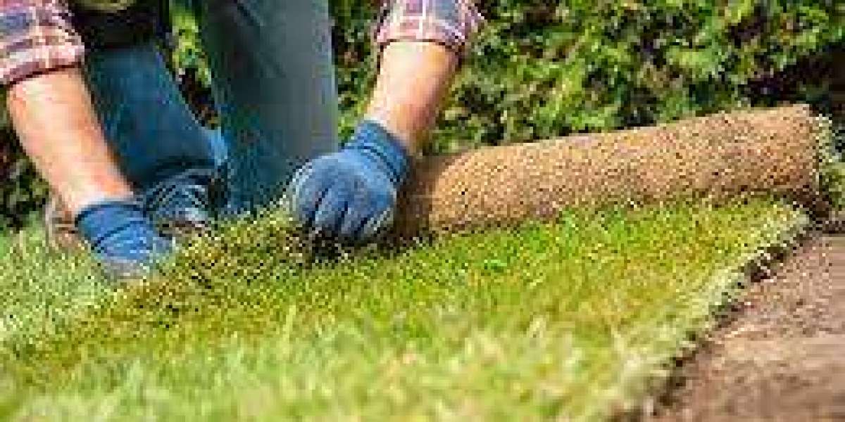 Common Issues With Landscape Drainage and How to Get Them Solved