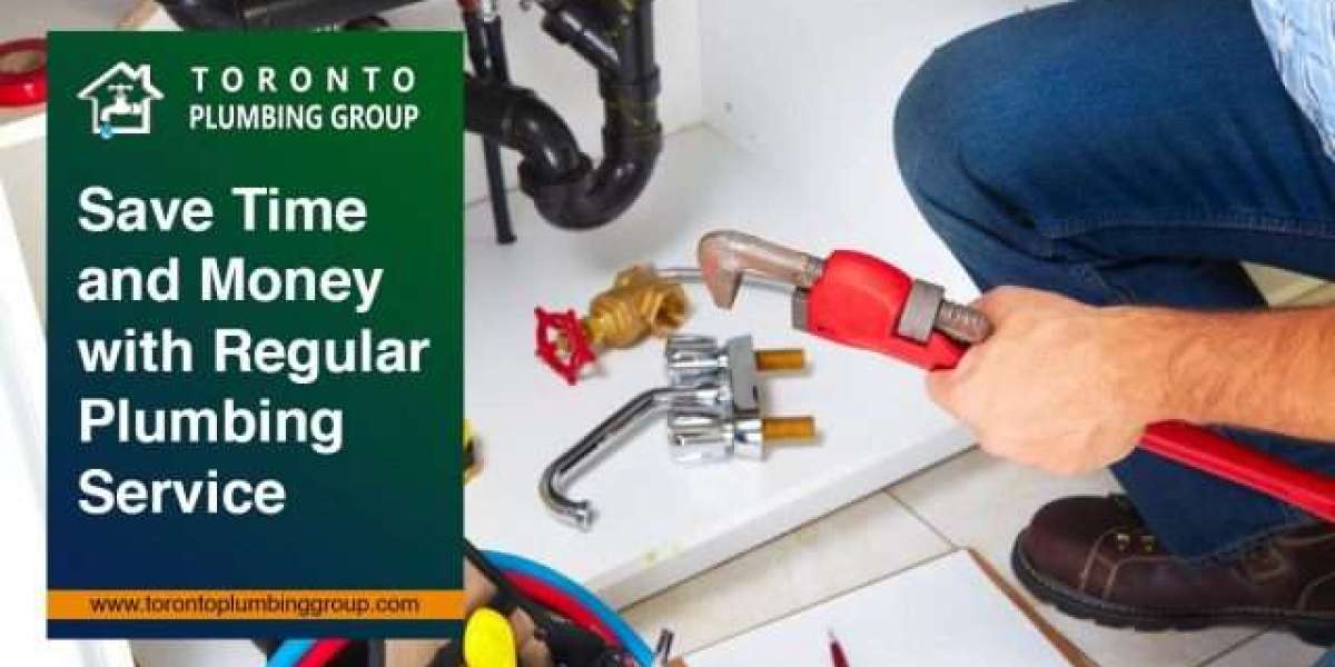 The Essential Guide to Hiring a Professional Plumber