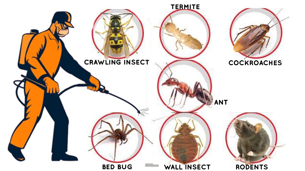 Mosquito Control & Prevention Services: Pest Control Dallas TX