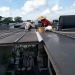 Roof Contractor Singapore Profile Picture
