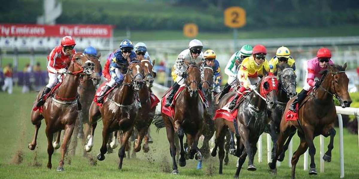Betting Bliss: Unleash the Thrill with 126asia's Horse Racing Welcome Bonus in Singapore!