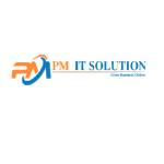 pmit solution Profile Picture