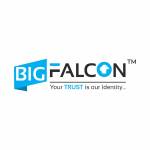 BIG FALCON Profile Picture