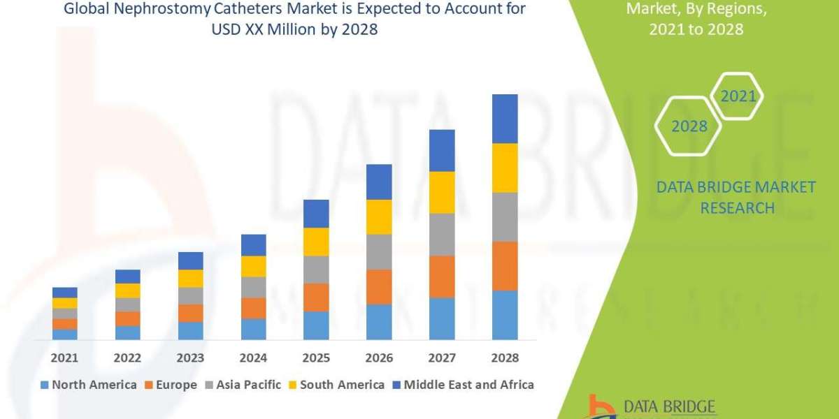 Nephrostomy Catheters Market Global Trends, Share, Industry Size, Growth, Demand, Opportunities and Forecast By 2028