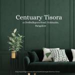 Century Tisora Profile Picture
