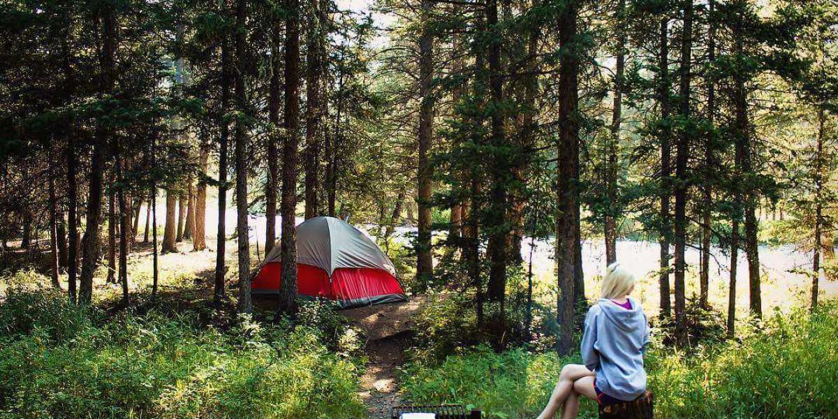 The Essence of Camping: A Journey into Nature's Embrace