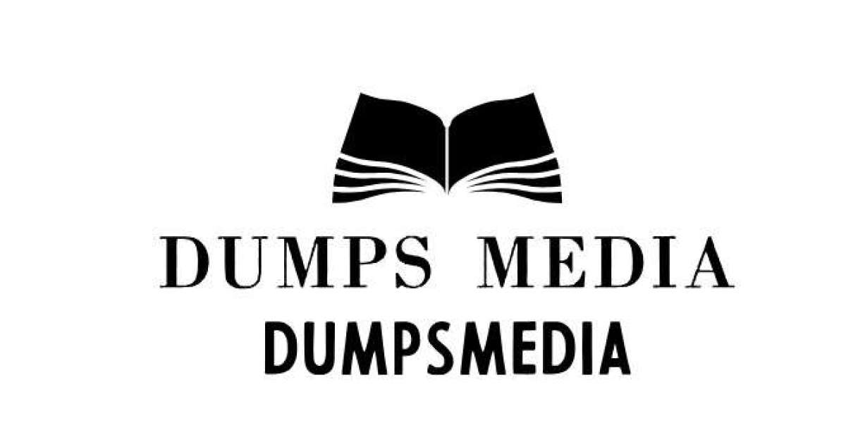 Dumps Media Insights: A Glimpse into Digital Content