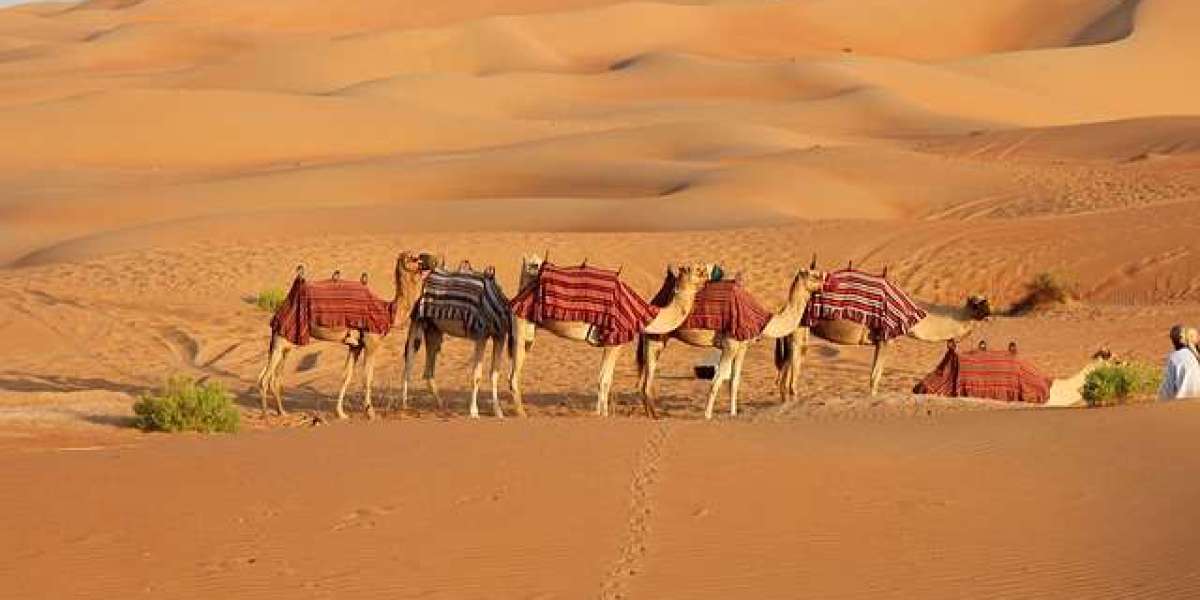 The top 5 myths of the Dubai Desert Safari