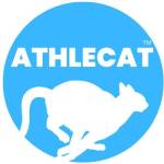 Athle Cat Profile Picture