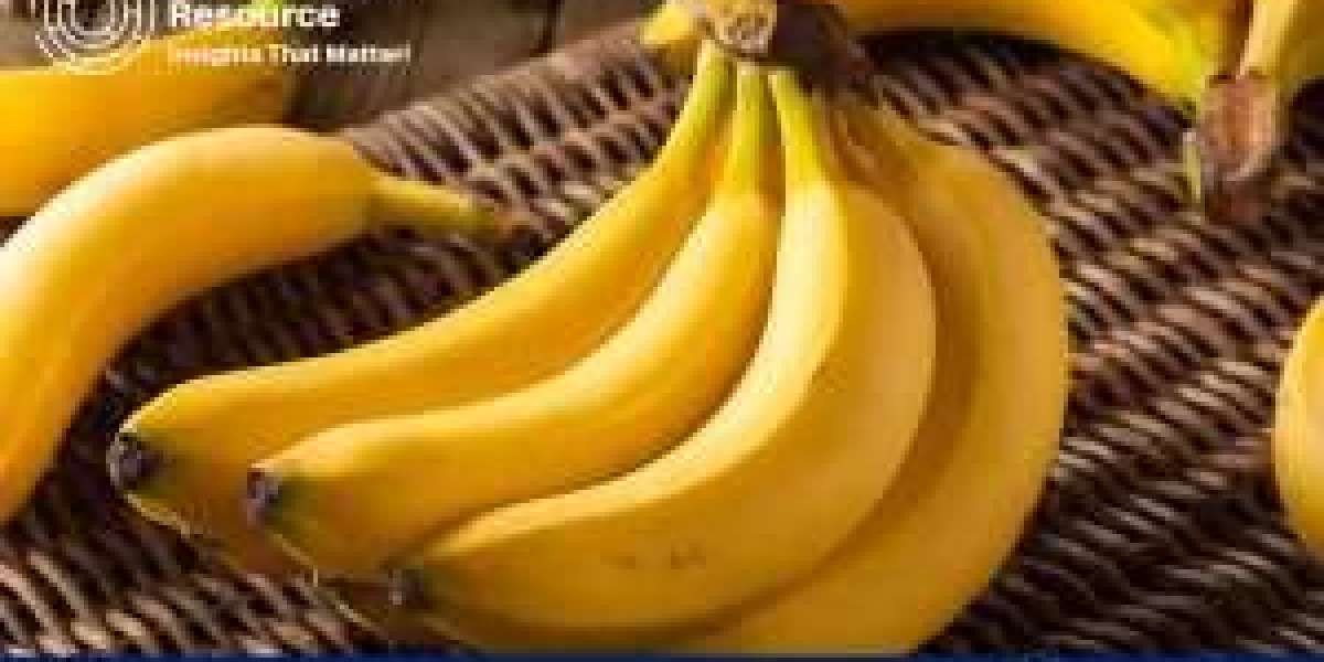 Unlocking the Secrets of Banana Production: A Cost Analysis Guide