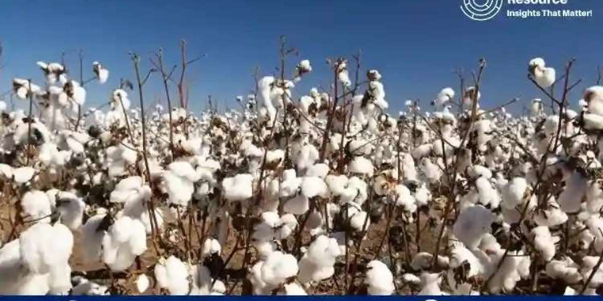 Cotton Lint Production Cost Analysis Report, Manufacturing Process, Raw Materials Provided by Procurement Resource