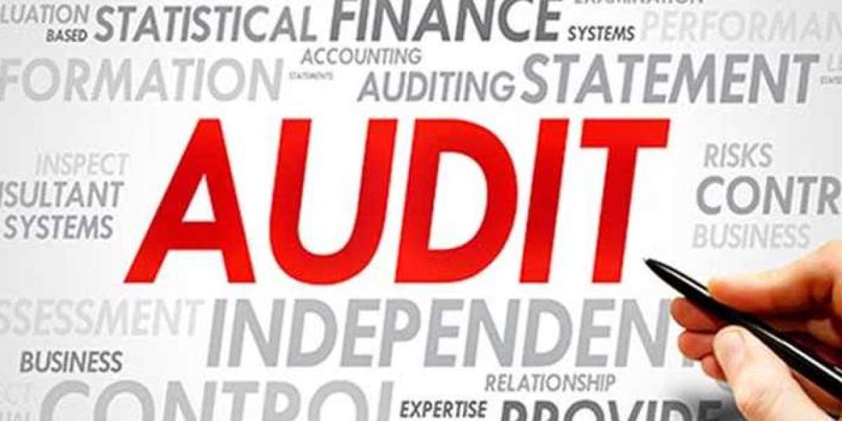 Navigating Auditing Terrain: A Deep Dive into UAE's Financial Integrity