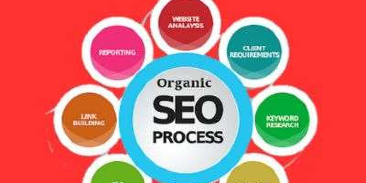 The Right Organic SEO Consultant for your business