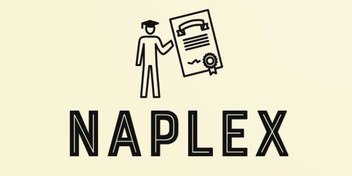 NAPLEX Marathon: Strategies for Endurance on Exam Day