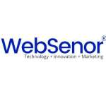 WebSenor Pvt Profile Picture