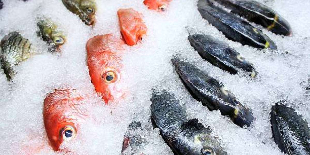 Frozen Seafood Market Outlook- Growth Trends, Forecasts, and Share Analysis 2030