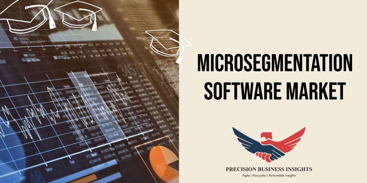 Microsegmentation Software Market Outlook, Demand Analysis 2024
