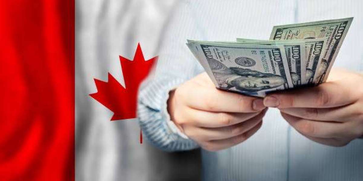 Smart Borrowing Strategies: Maximizing Benefits of Loans in Canada