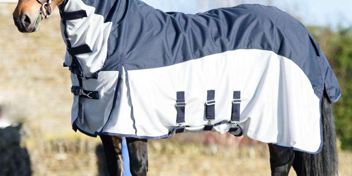 Unmatched Vibrancy: Make Your Horse Shine with a 1200d Turnout Rug