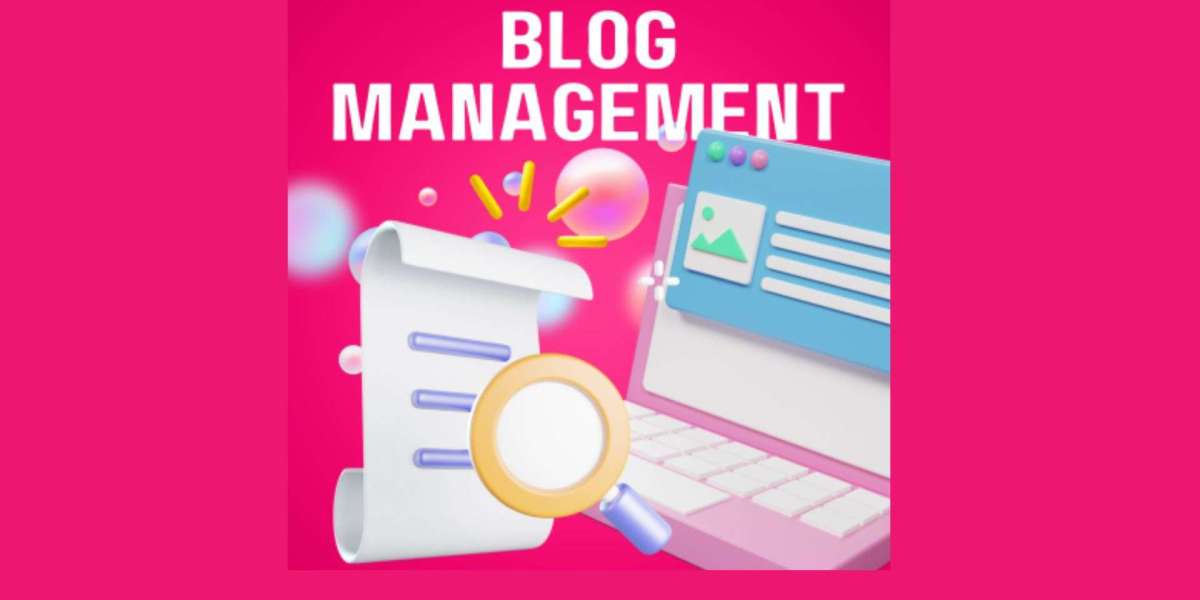 Mastering Niche Site Management and Blog Management Services to grow your business to new hights