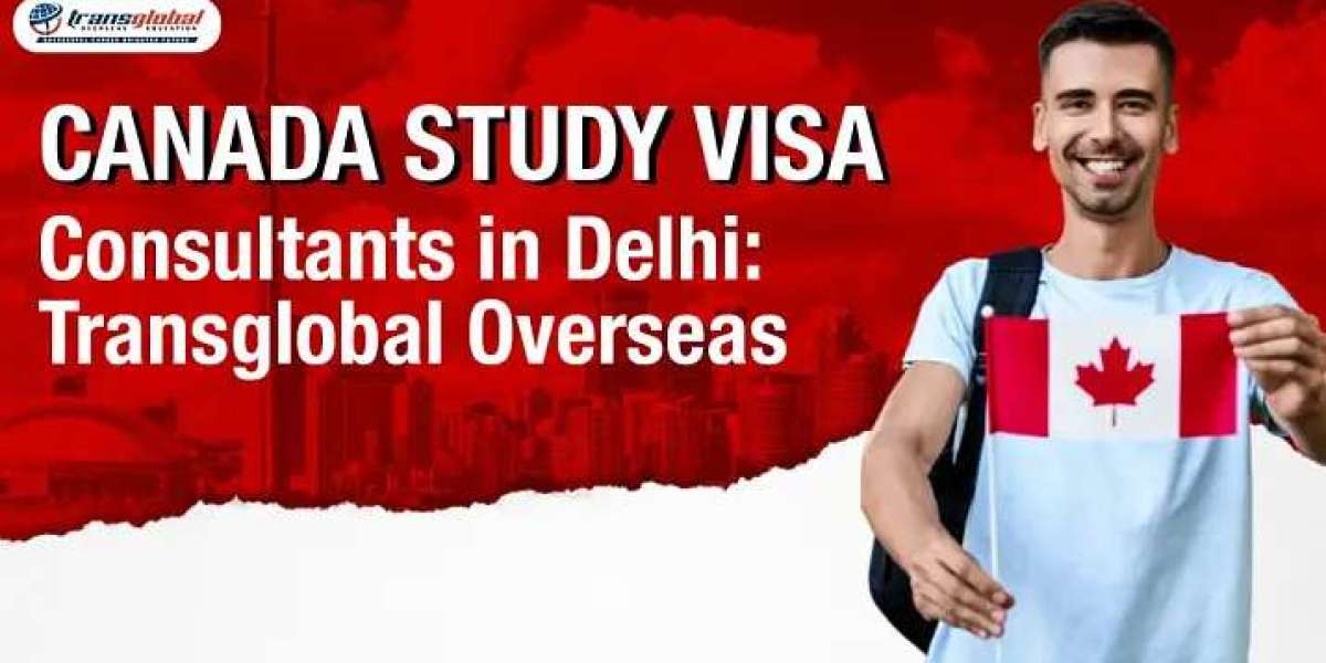 Canada Study Visa Consultants  in Delhi