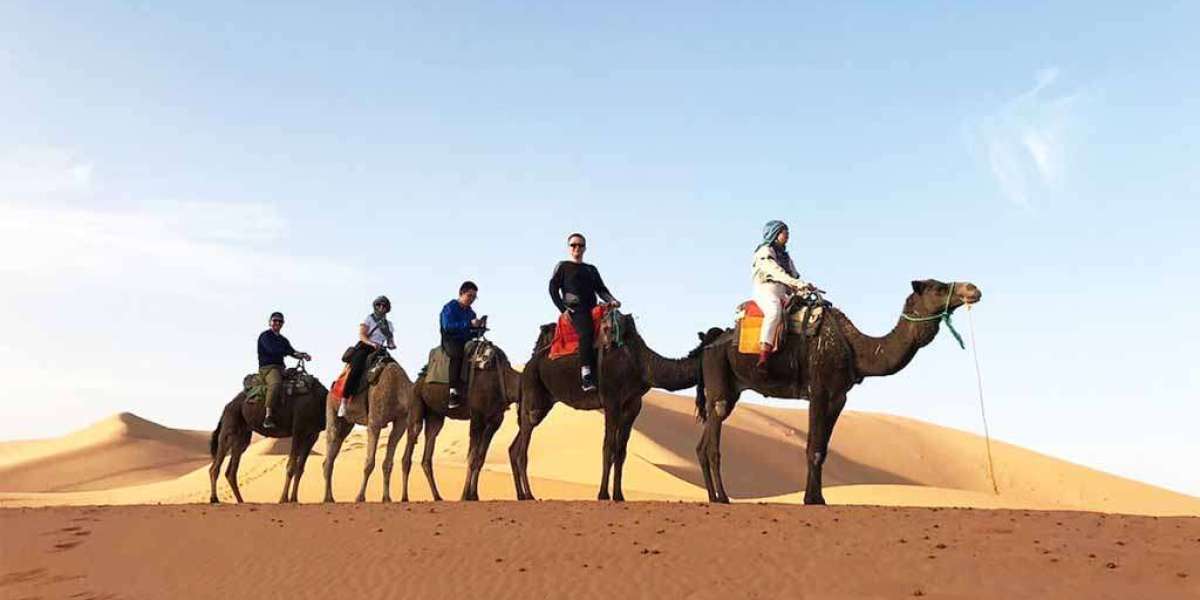 Embark on an Unforgettable Journey: The 3-Day Desert Tour from Marrakech