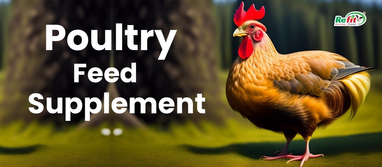 Poultry Products: Poultry Feed Supplements & Medicines in India - Refit Animal Care