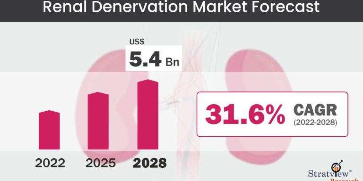 Renal Denervation Market: Global Industry Analysis and Forecast 2022-2028