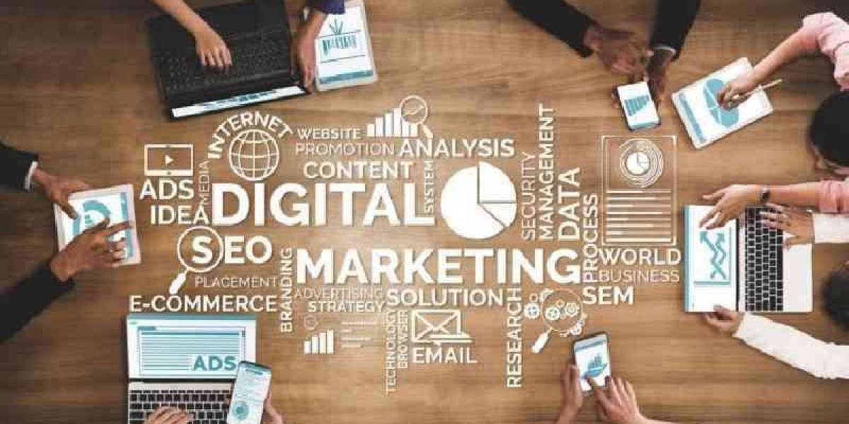 Unleash the Power of Digital Marketing: Elevate Your Ludhiana Business to New Heights