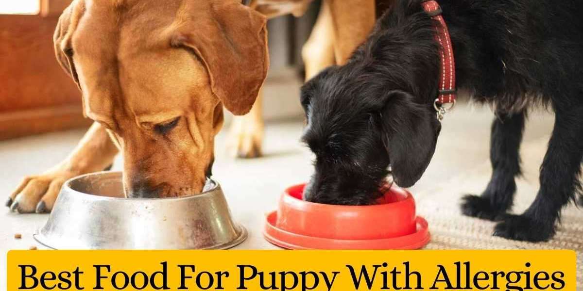 Best Food For Puppy With Allergies