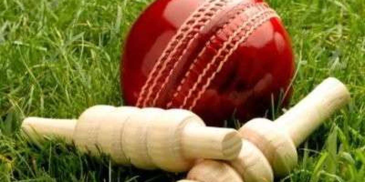 Cricket Betting Unveiled: Navigating the Realm of 96.com