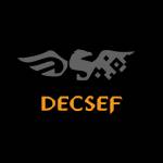 DECSEF SISTEMAS Profile Picture