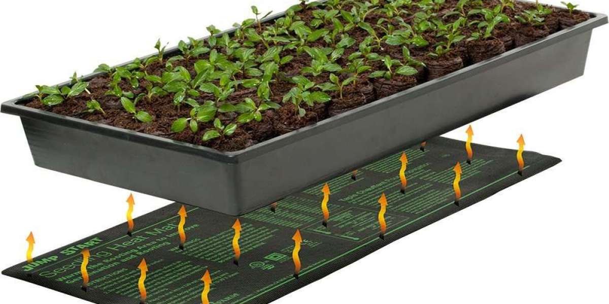 Seedling Heat Mats Market Analysis By Opportunities, Size, Share, Growth Factors and Forecast 2031