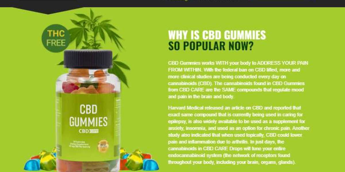 Helpful Facts That Will Affect Bloom CBD Gummies In 2024