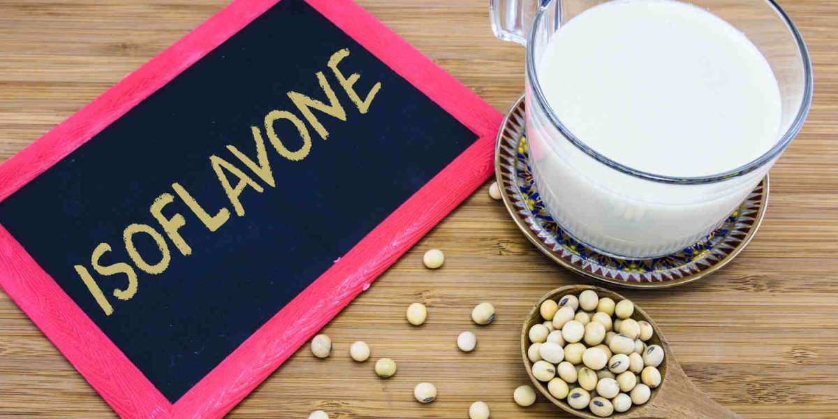 Isoflavones Market Competitive Landscape and Trends by Forecast 2031