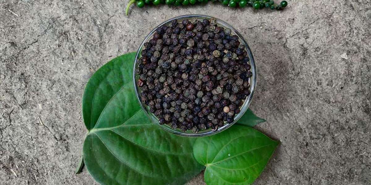 There Are A number of Well being Benefits Of Black Pepper