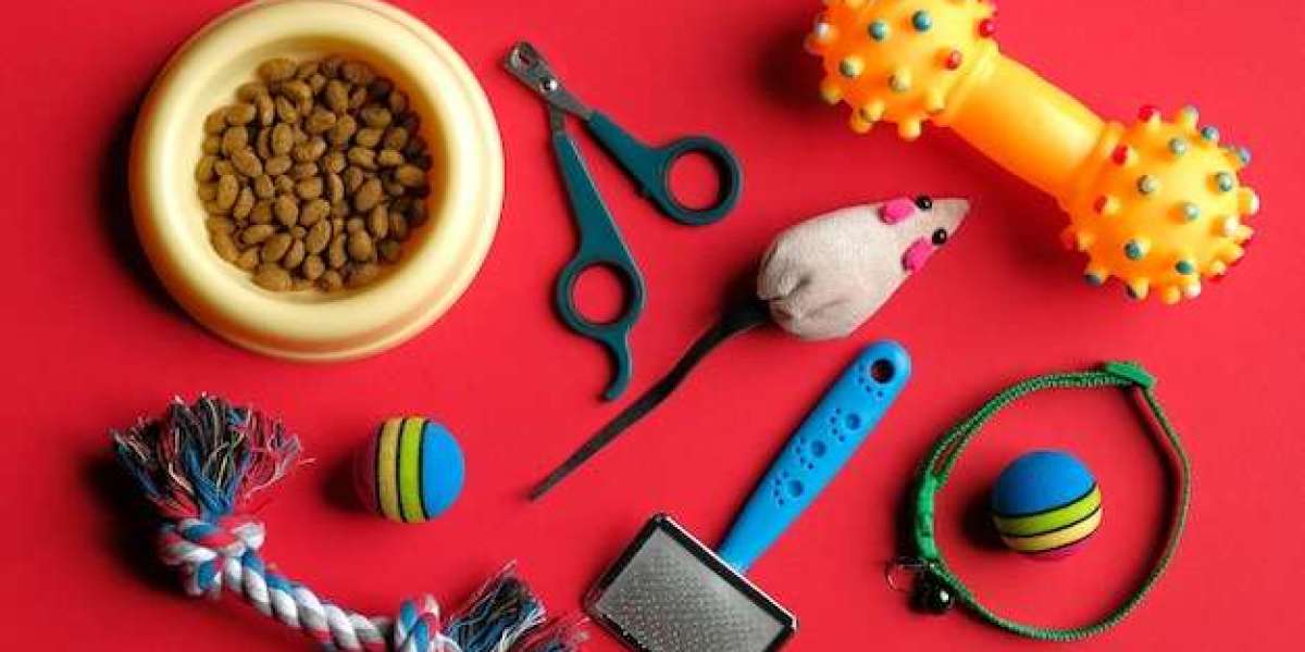 Ultimate Guide to Pet Accessories, Grooming Supplies, and Toys: Where to Find Them Online