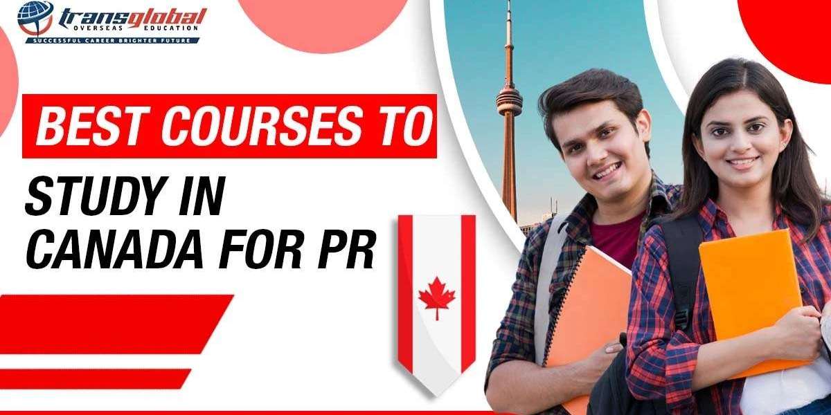 Best Courses to Study in Canada for PR
