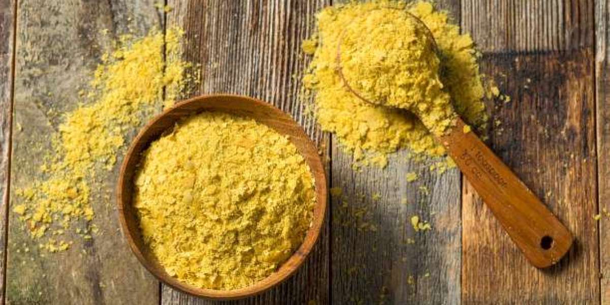 Japan Organic Cheese Powder Market– Detailed Analysis of Current Industry Figures with Forecasts Growth