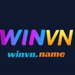 Winvn Casino Profile Picture