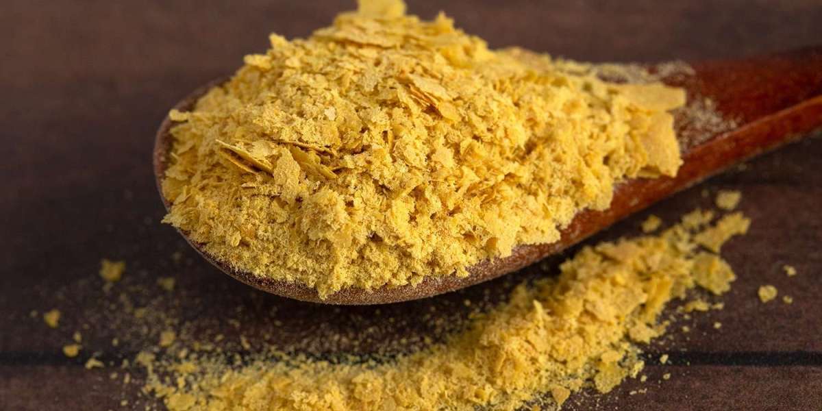 Nutritional Yeast Market Analysis, Development, Opportunities, Future Growth and Forecast 2031