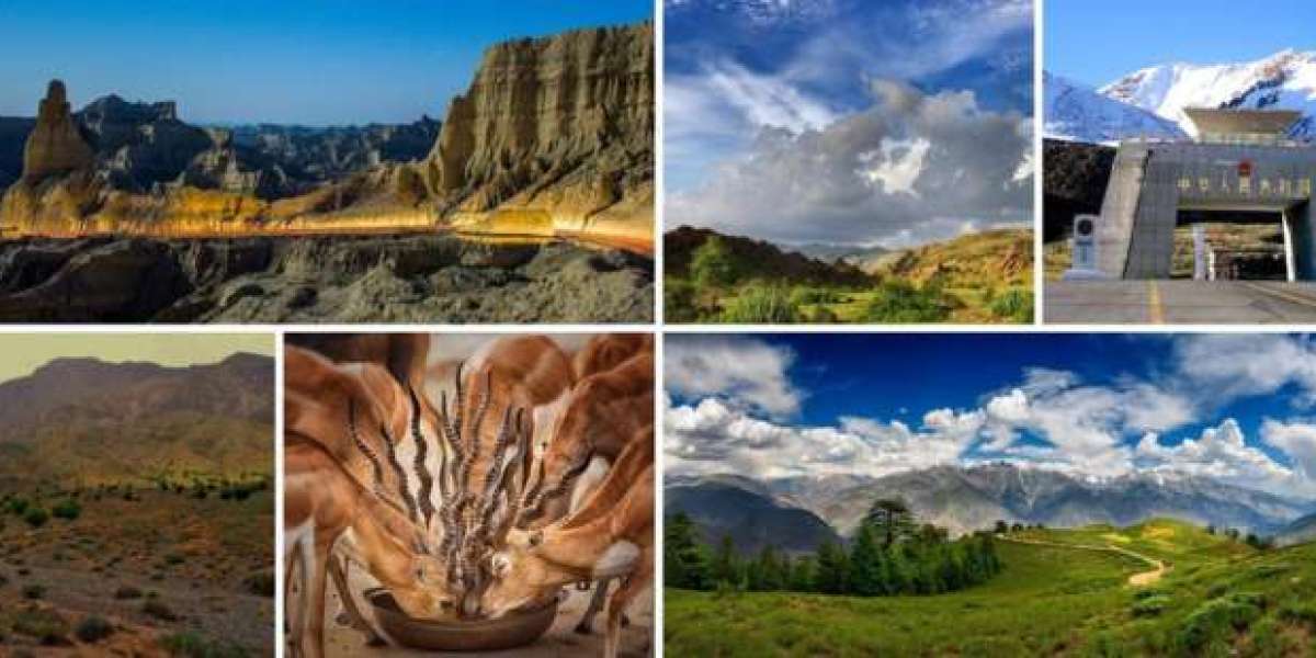 Exploring The Natural Treasures: A Guide To 10 National Parks In Pakistan 2024