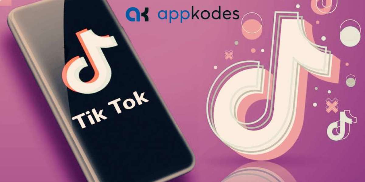 Kick start your Business with TikTok Clone Script
