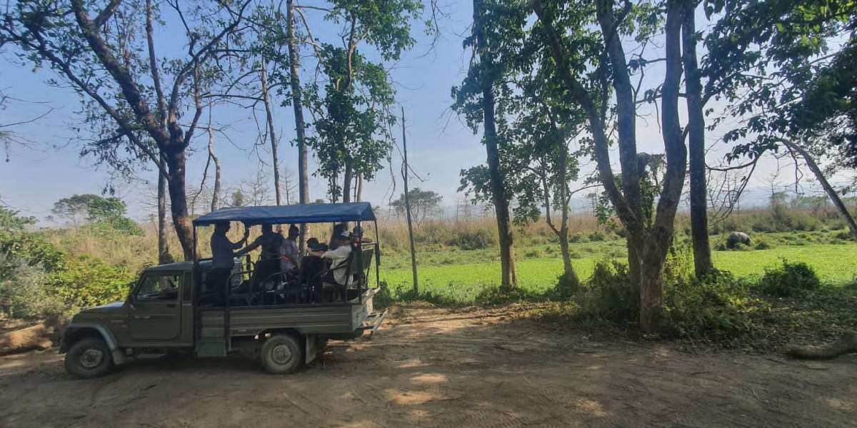 Chitwan Tour Package 2 Nights and 3 Days