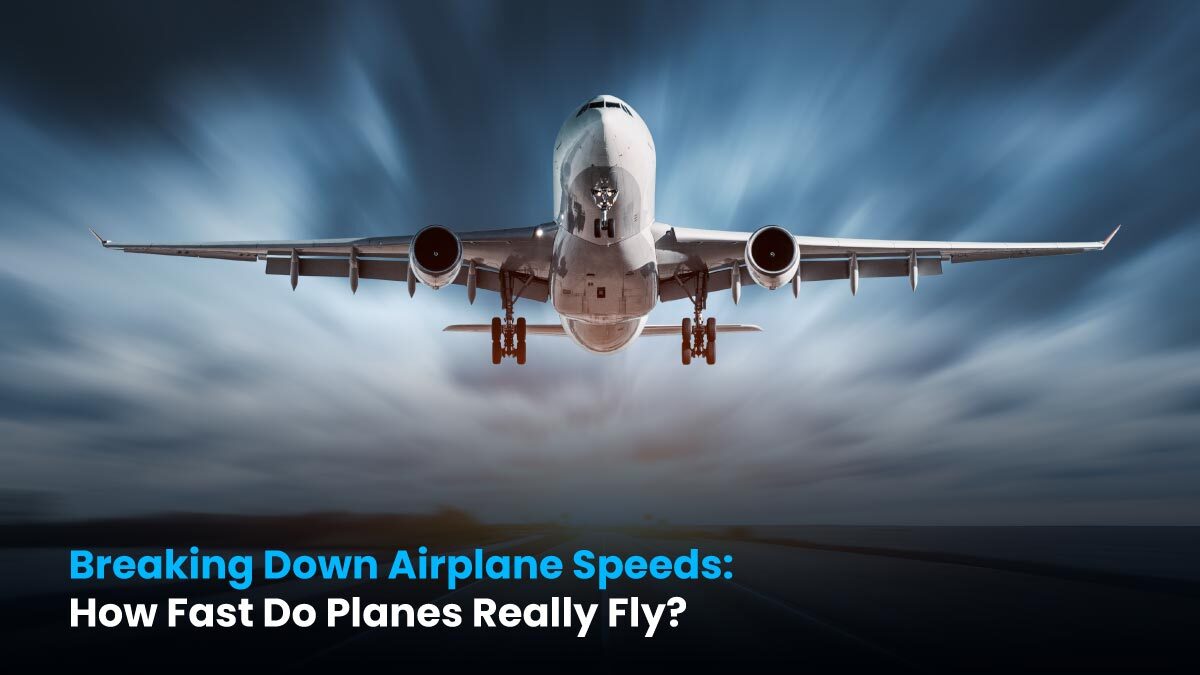 As a Pilot's Point of View: Differentiating Boeing and Airbus - Insight Flyer