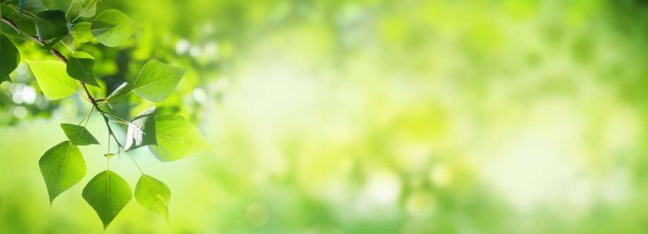 lonestarcounselingcenter Cover Image