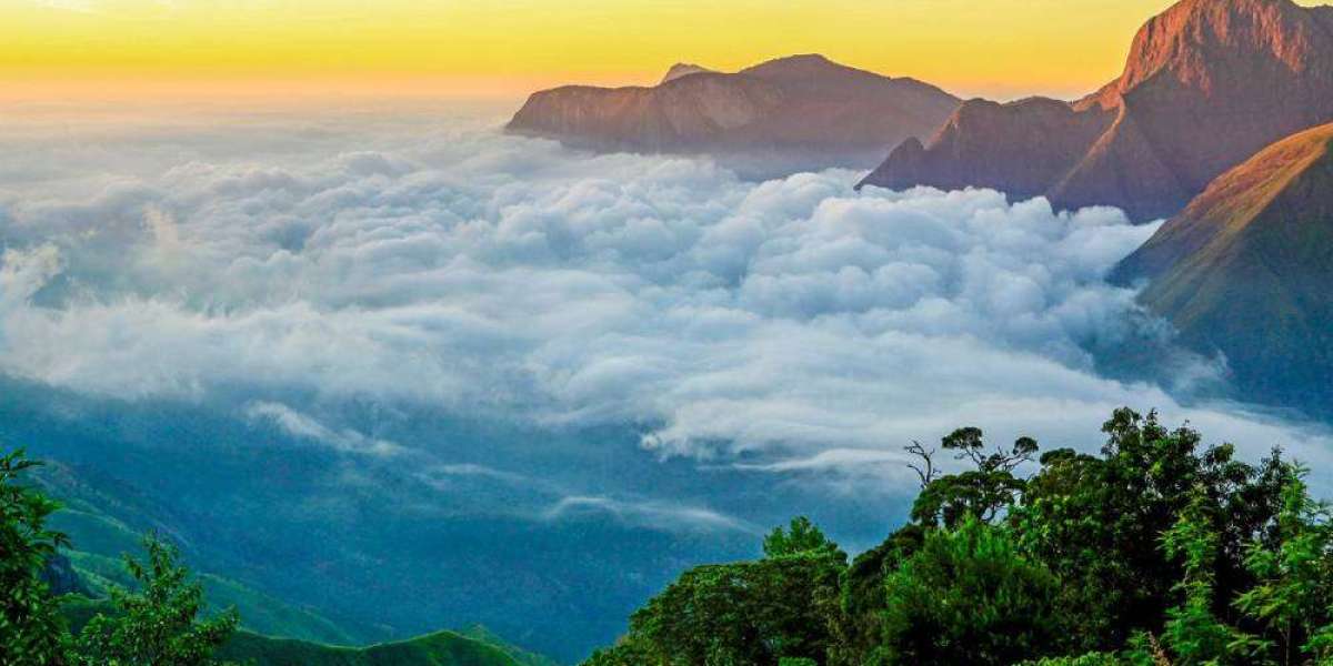 Best Munnar Tour Package Deals with Hotel & Sightseeing Included