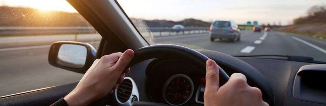 Shegi Driving School Cover Image