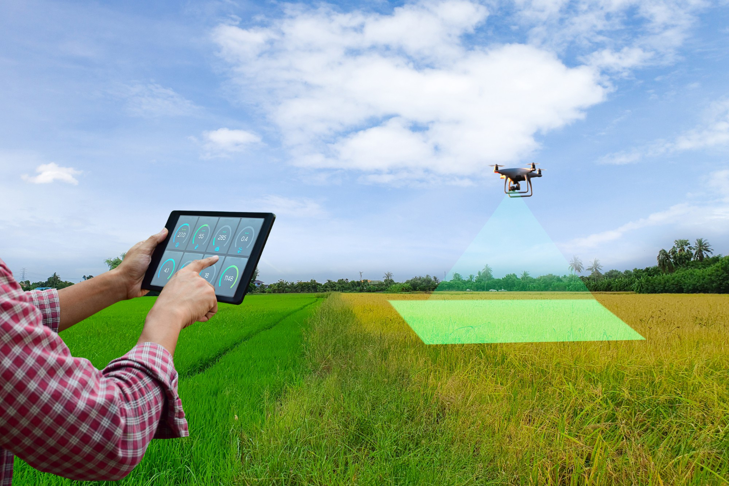 Drone 3D Mapping—A Complete Guide to Aerial Mapping