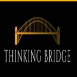 Thinking Bridge Profile Picture